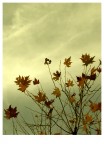 Inner Winter