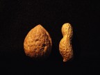 STANLIO &amp; OLLIO