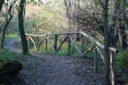 Bosco in citta