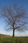 l'autunno