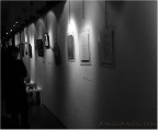 Mostra