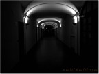 Segui la luce