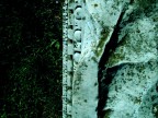 History's Veins