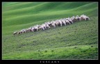 Toscana