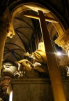 Notre Dame3