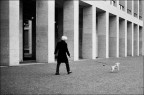 Il gioco
