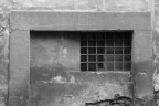 the window