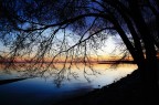 L'albero dei ricordi