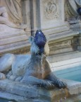 Olympus Camedia - il vero reperto archeologico.

Si abbevera dalla Fonte Gaia in Piazza del Campo - Siena