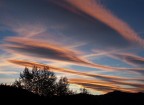 Alba Novembrina