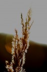 il sole su Tutto