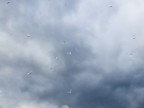finestra + cielo