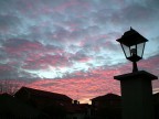 alba #2