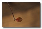 sola nel vento e nella luce