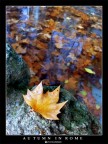 Autumn in Rome