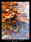 Autumn in Rome#3
