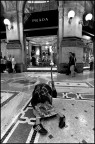 In Galleria