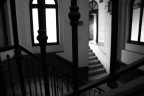 Scappo di casa