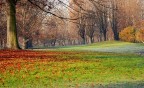 Uno strano inverno