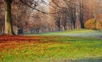 Gradevole intreccio di colori in un parco cittadino.