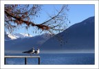decisione da prendere...