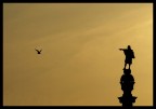 il nuovo mondo