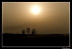Controluce