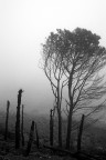 Quel che resta, sono solo ceneri