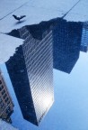 New York #1
