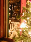 Il Natale dentro e furoi casa