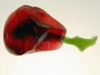rosso sangue