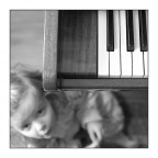 Più mosso #5 Più mosso #5