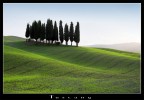 Cypress Hill