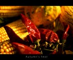 Autumn's heat | Calore autunnale Autumn's heat | Calore autunnale