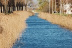 Canale