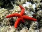 S.Antioco, Sardegna