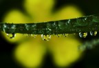 riflessi