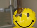 ..ma si sorridiamoci sopra