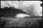Il cielo ci guarda...