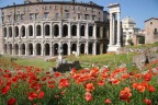 Roma - Teatro di Marcello