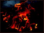 foto scattata al fuoco e successivamente elaborata con p.s, con aggiunta di cornice