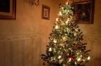 ci sono sicuramente elementi di disturbo , ma a me piace il tipo di luce. Qualsiasi critica  gradita ciao.