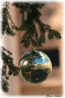 Natale a S.Pietro