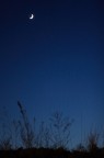 e la luna buss...