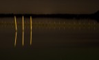 laguna di venezia 20D e contax 85mm f2.8