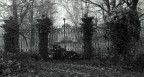 Mistery