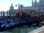 Gongole