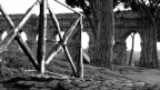 ponticello al Parco