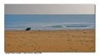 il Mare d'Inverno - 3