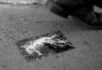 l'immagino descrive l'indifferenza nei confronti dell'infanzia rappresentata dalla foto sgualcita di una testa di bambola lacerata da un cane